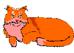 Orange kittie