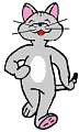 Cool Cat